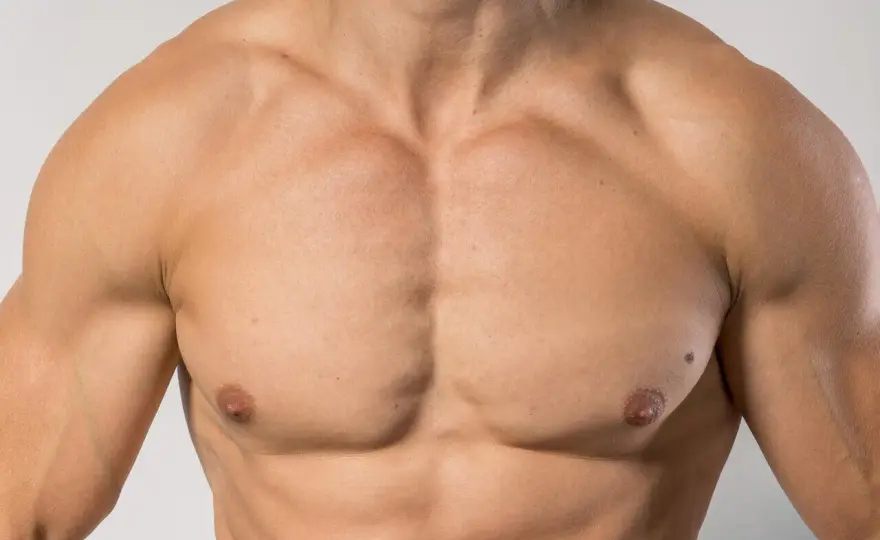 Mięsień piersiowy większy - Anatomia, trening i zdrowie klatki