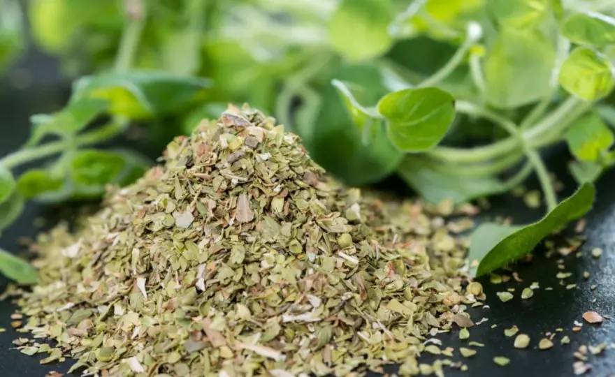 Oregano do jakich potraw? Odkryj wszechstronne zastosowanie