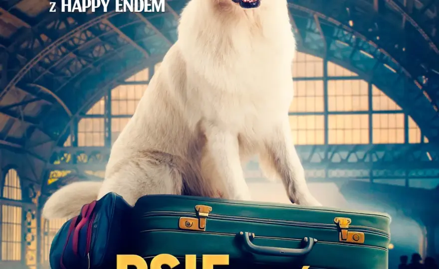 Gdzie obejrzeć film o psie który jeździł koleją online i za darmo