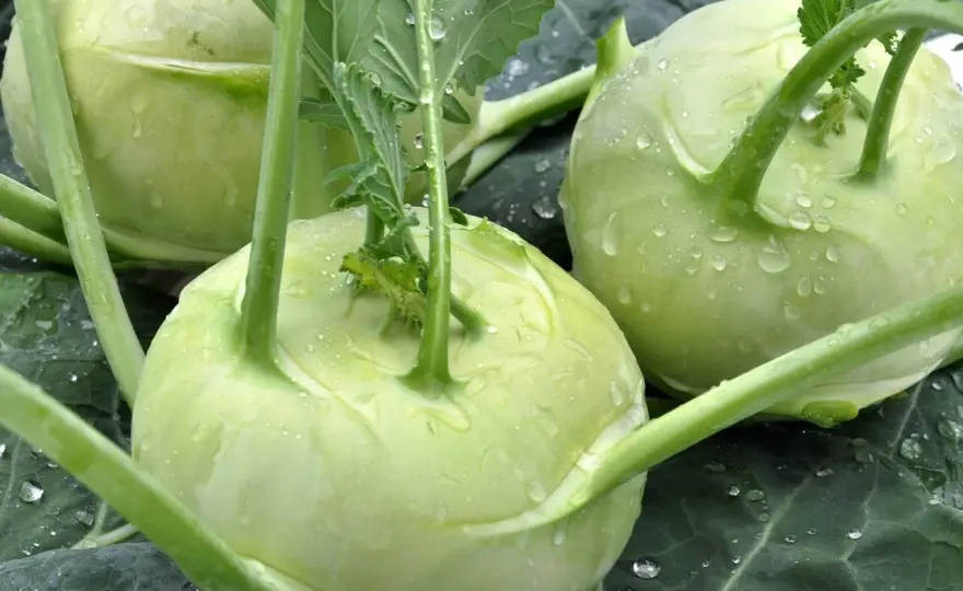 Chou-rave - Le guide ultime pour le cuisiner sans faute