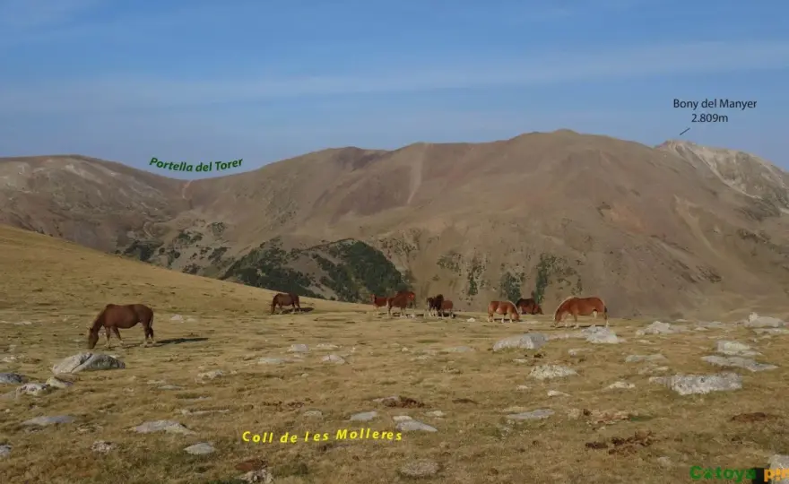 Puig Pedrós - Guía completa para una ascensión segura y vistas top