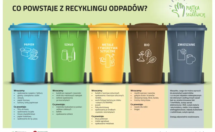 Do jakiego pojemnika wrzucić puszki po piwie, aby nie marnować?