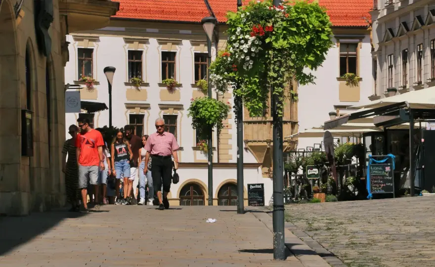 Ołomuniec gdzie zjeść: najlepsze miejsca na tradycyjne dania i więcej