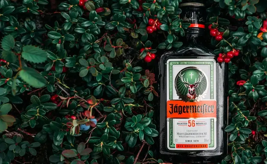 Najlepsze drinki z Jägerem, które musisz spróbować na imprezie