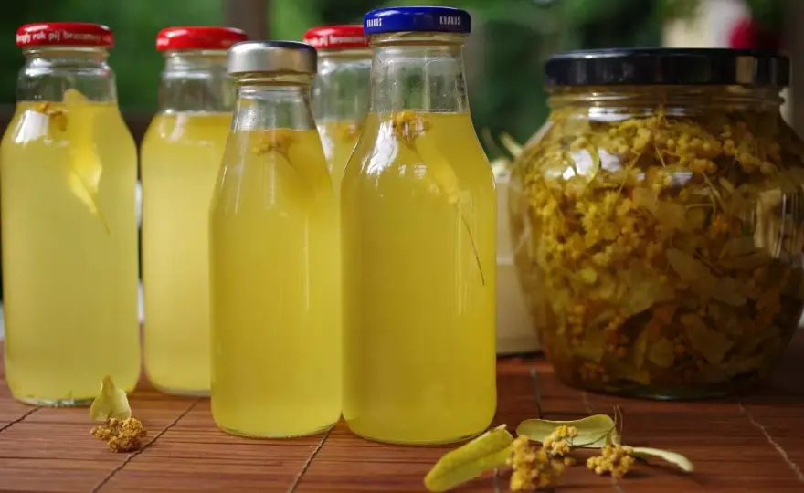 Syrop z lipy - prosty przepis i praktyczne wskazówki