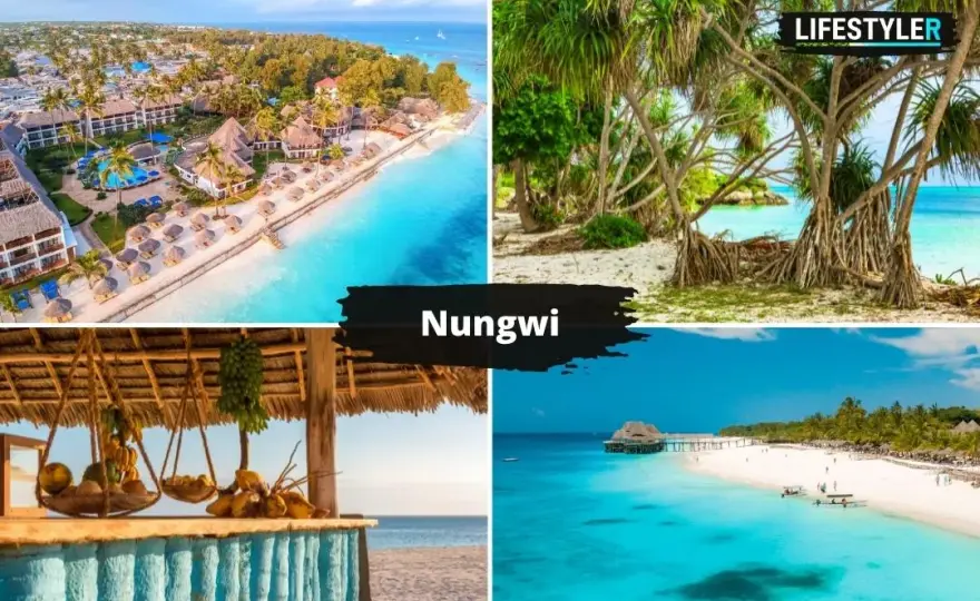 Zanzibar: Co zobaczyć? Najpiękniejsze plaże i atrakcje wyspy