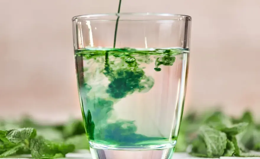 Chlorofil w płynie - fakty, mity i co musisz wiedzieć