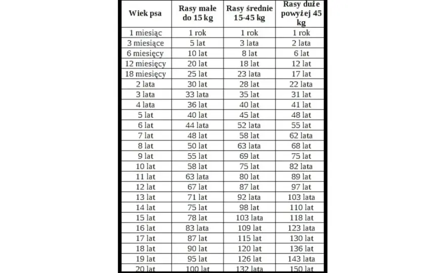 Wiek psa bez mitu o siedmiu latach - praktyczna tabela