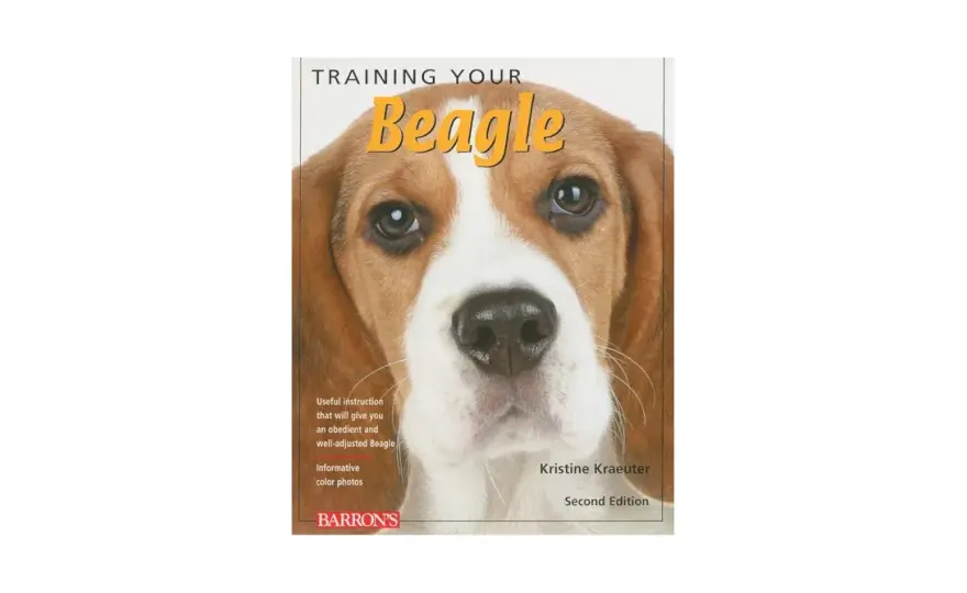 Tresura beagle'a: Skuteczny poradnik krok po kroku. Koniec z ucieczkami!