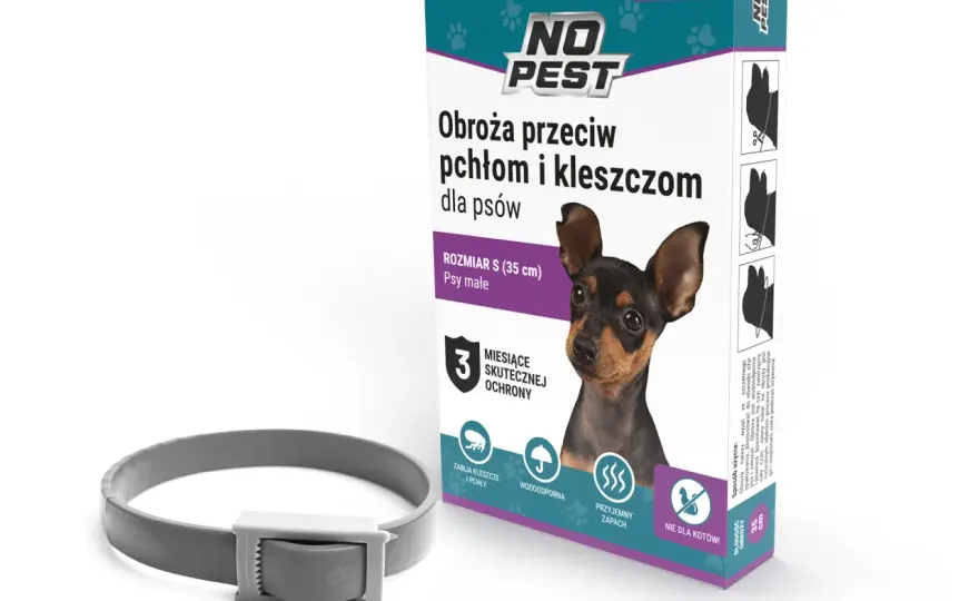 Jaką obrożę przeciw kleszczom dla psa wybrać, by zapewnić mu bezpieczeństwo?