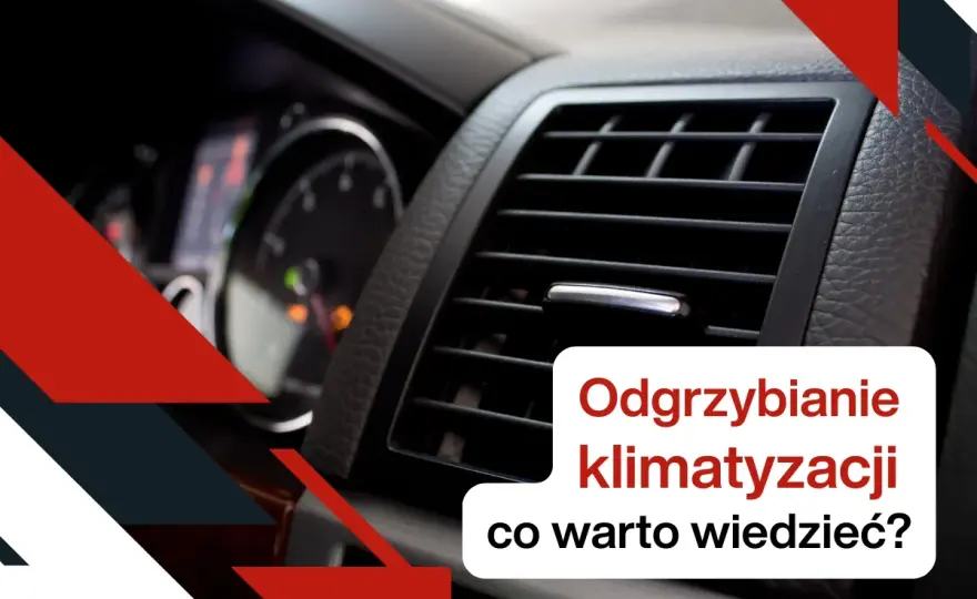 Zagrzybiona klimatyzacja w aucie - Rozpoznaj objawy i odgrzyb ją!