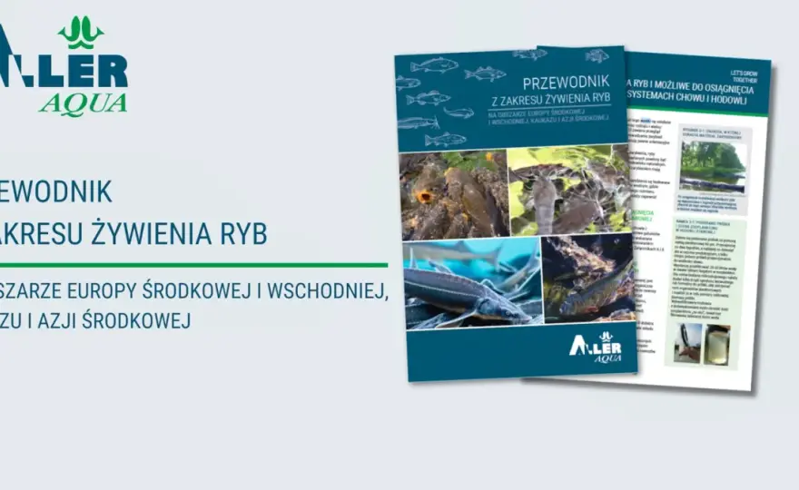 Odmiana "aller": Kompleksowy przewodnik i praktyczne przykłady