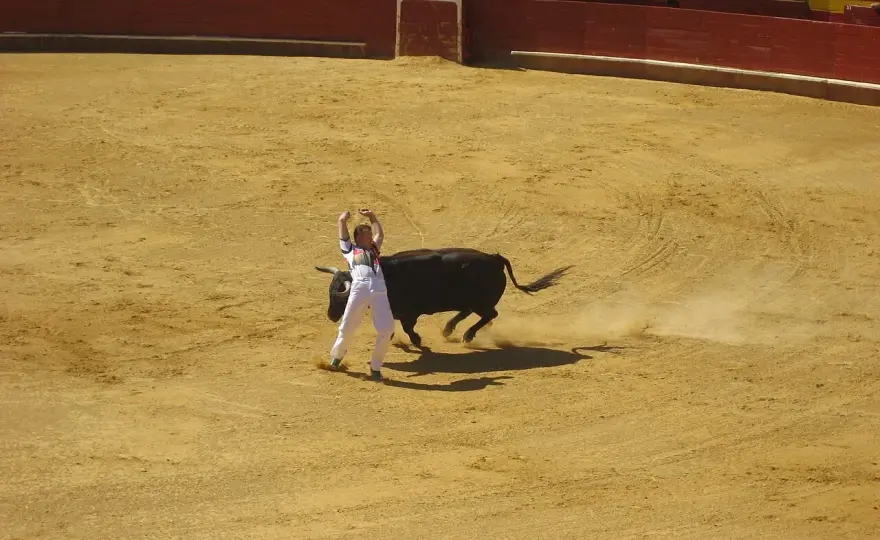 Recortadores de toros - Nombres clave y cómo entenderlos