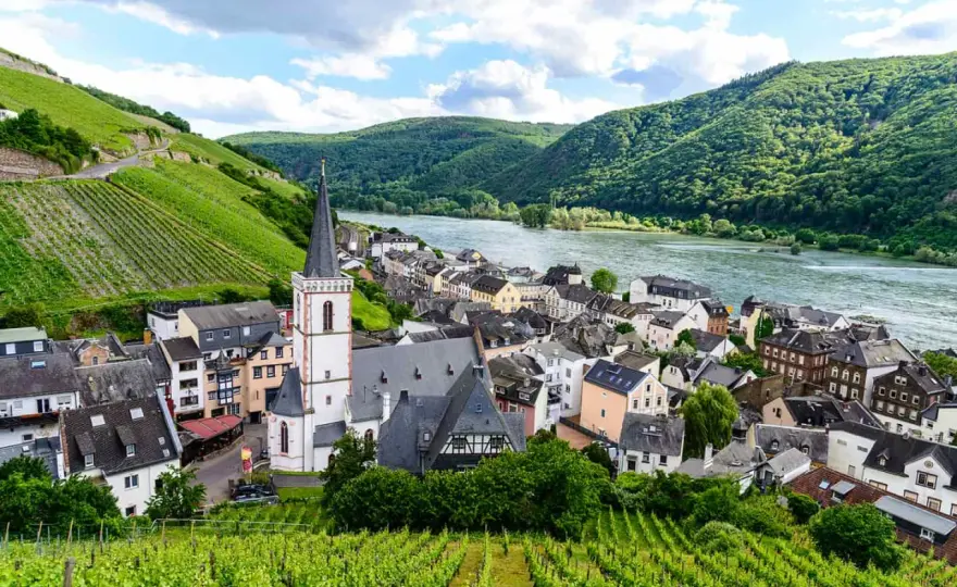 Weinreise Deutschland planen - Regionen, Routen & Kosten