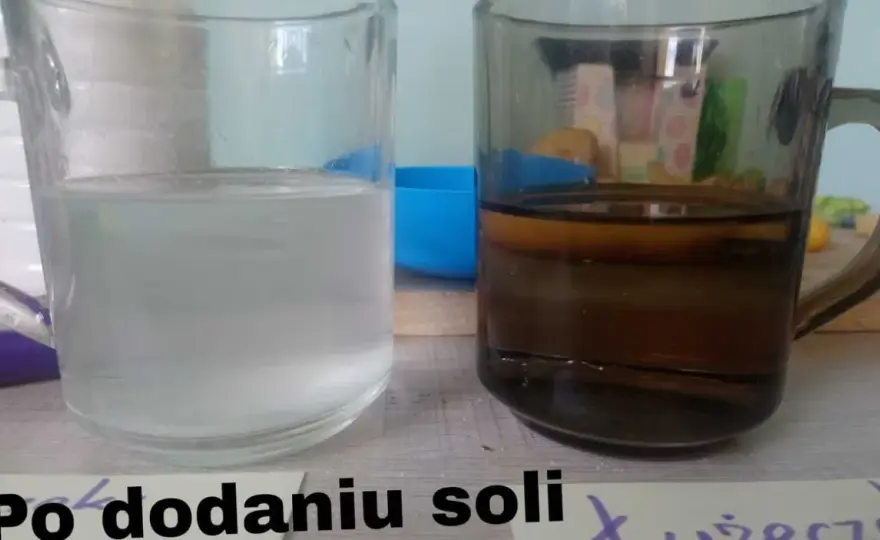 Zaskakujące efekty eksperymentu z ziemniakiem i solą w osmozie
