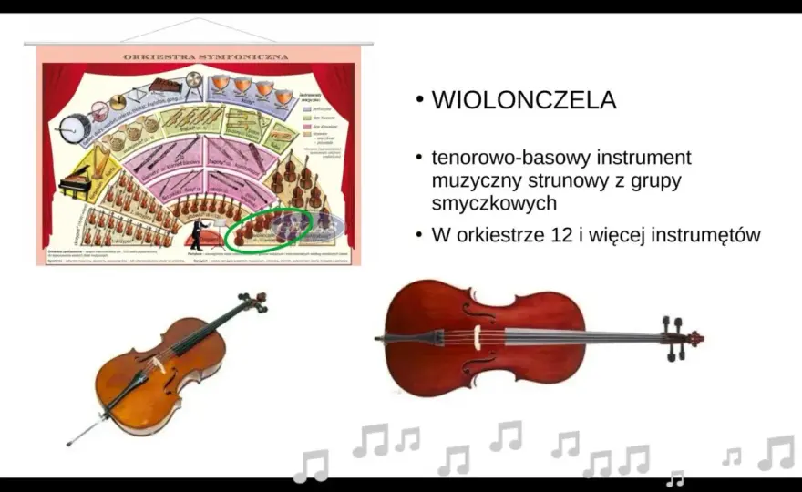 Ile osób liczy orkiestra symfoniczna? Poznaj jej skład