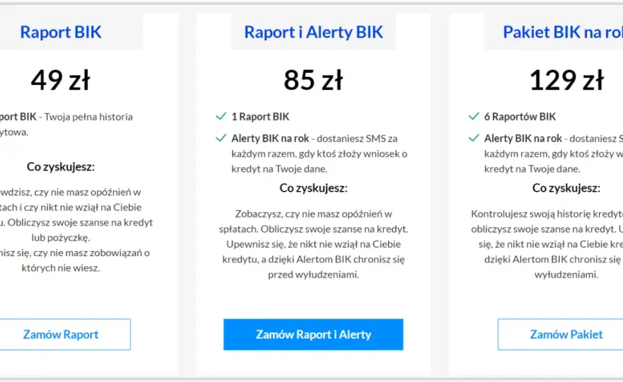 Jak sprawdzić BIK? Kompletny przewodnik krok po kroku