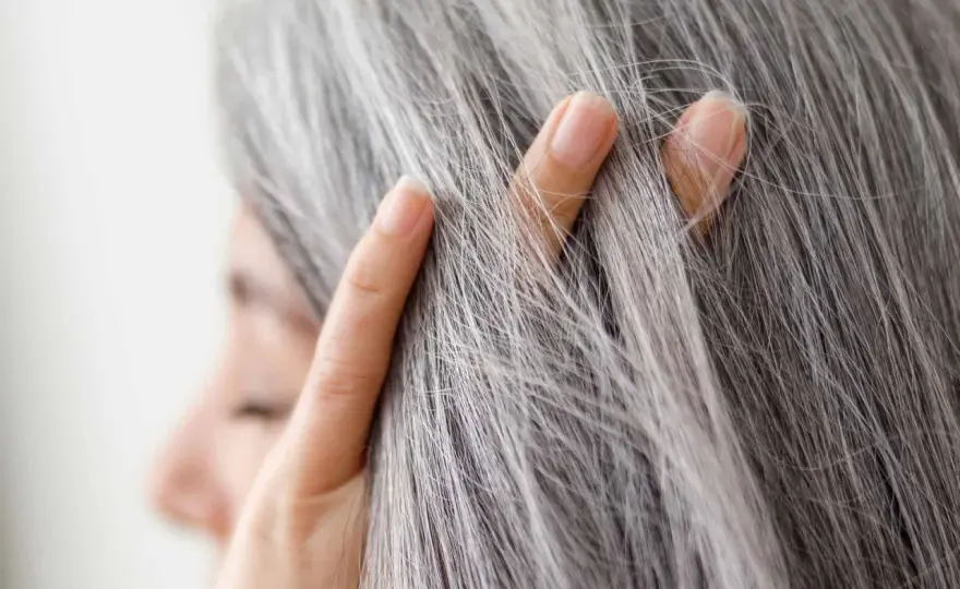 Melanina del cabello - qué revela sobre tu color y tus canas