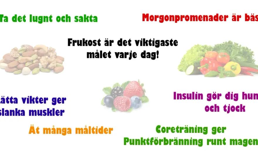Effektiv viktnedgång - Tappa fett, behåll muskler!