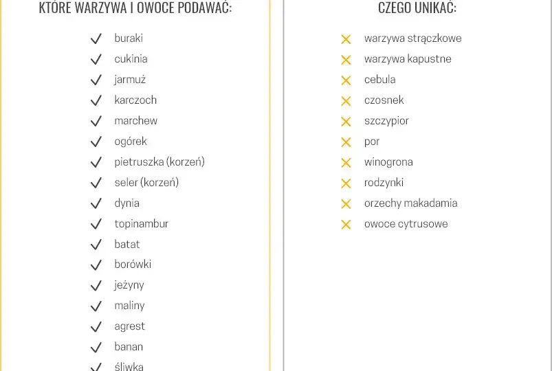 Gotowana karma dla psa: Przepis, składniki i jak bilansować?