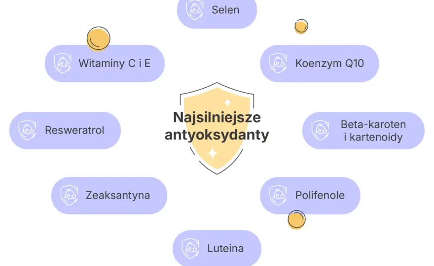 Antyoksydanty w pielęgnacji - jak działają i które wybrać?