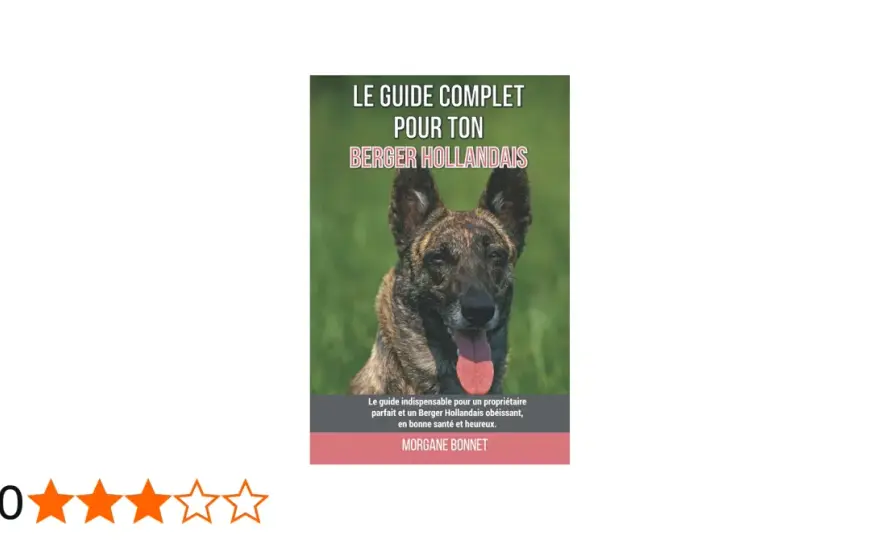 Berger Hollandais - Le guide complet pour un compagnon actif