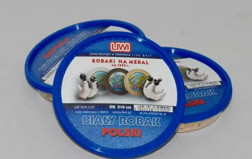 Gdzie kupić robaki na ryby? Wybierz mądrze i łów skutecznie!