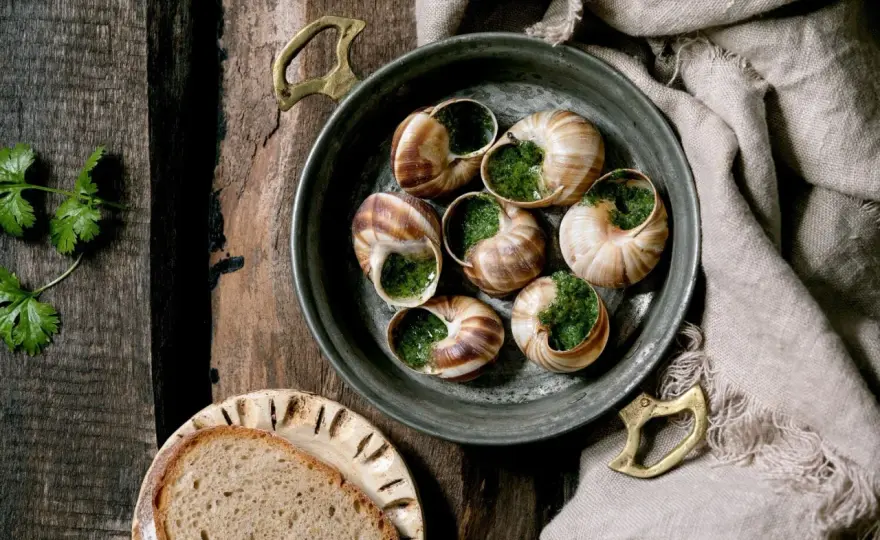 Wie schmecken Schnecken? Geschmack, Biss und die richtige Zubereitung