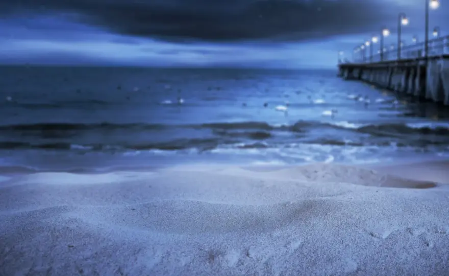 Świecąca plaża - Czy zobaczysz ten magiczny widok?