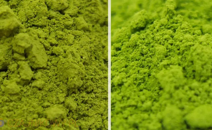 Jaka matcha najlepsza? Sprawdź, co wyróżnia najlepsze rodzaje