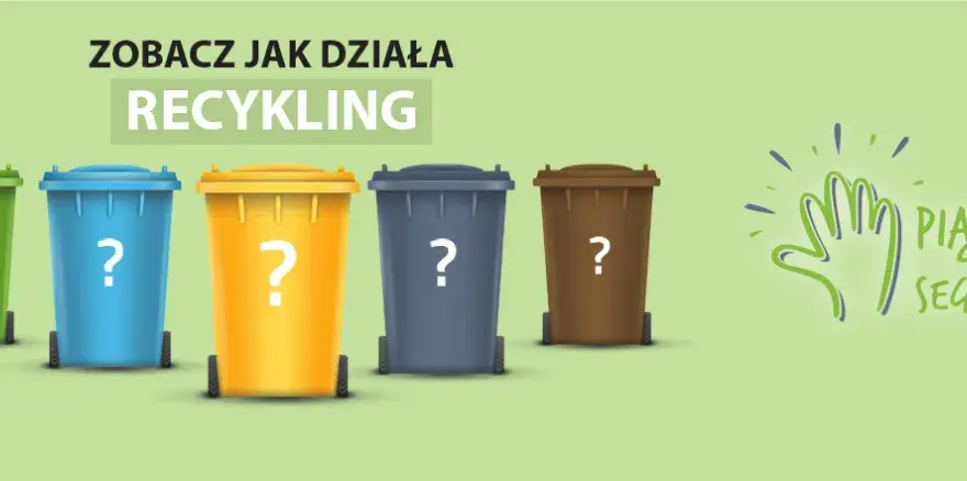 Kto dostarcza pojemniki na śmieci i jakie masz obowiązki jako właściciel