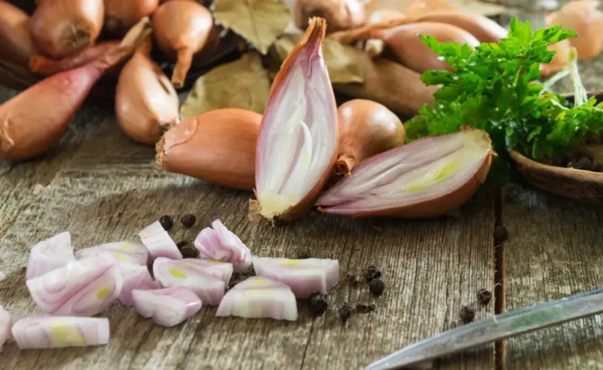 Jak wygląda szalotka? Poznaj cechy tej wyjątkowej cebuli