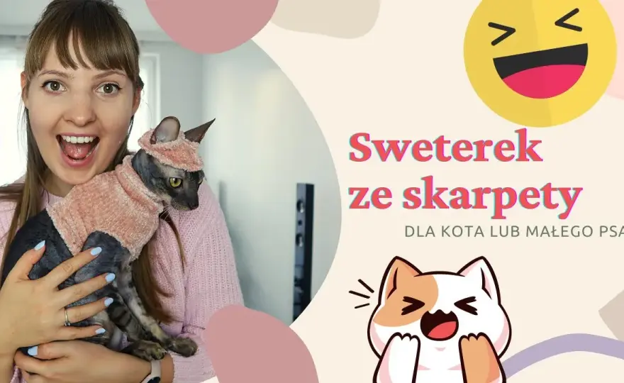 Jak zrobić kota ze skarpetki - proste kroki na wyjątkowy projekt DIY