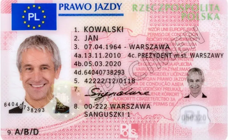 Jak sprawdzić, czy mam zabrane prawo jazdy i uniknąć nieprzyjemności