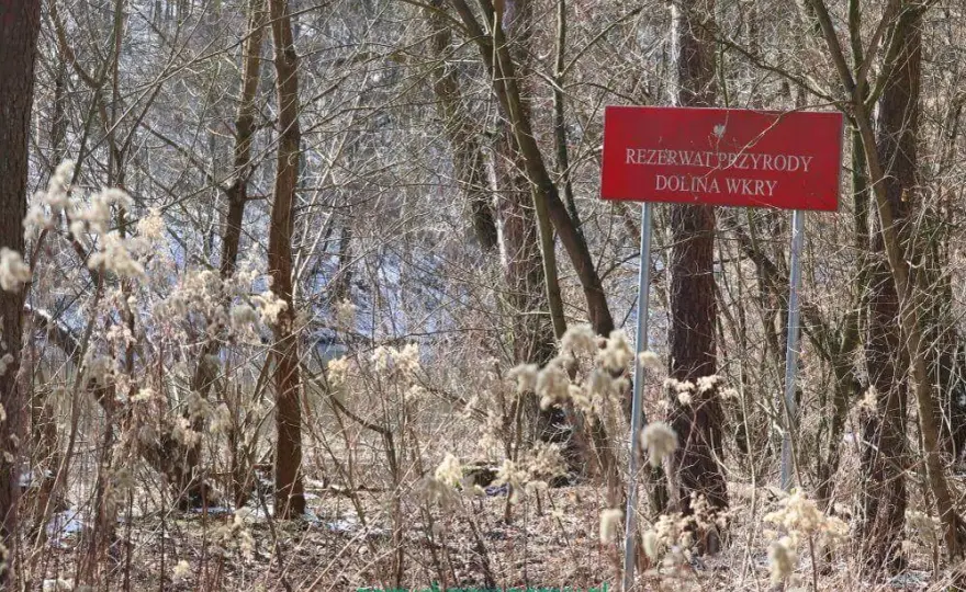 Rezerwat Przyrody Dolina Wkry – co warto wiedzieć przed wizytą i jak uniknąć błędów