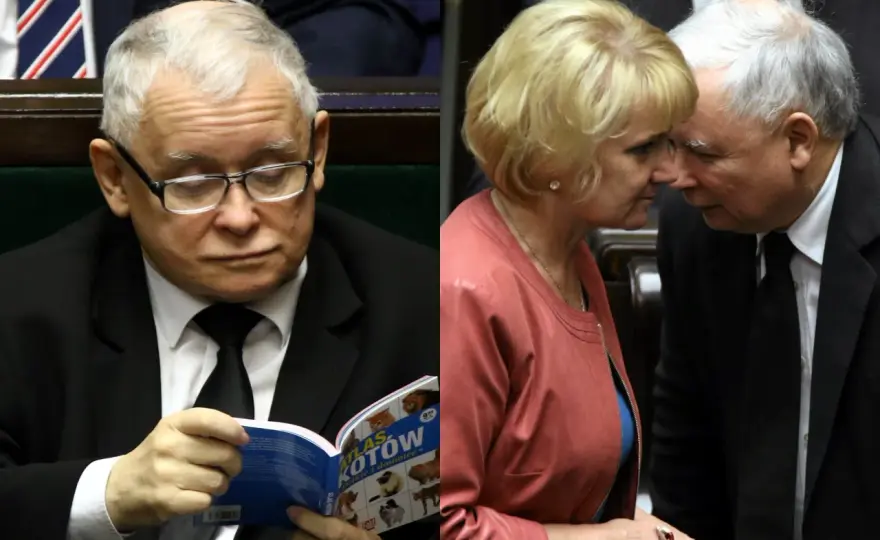 Czy Jarosław Kaczyński ma żonę? Oto zaskakujące fakty o jego życiu