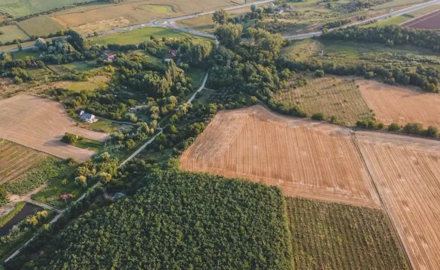 Ceny działek rolnych: Jakie są obecne stawki i co wpływa na ceny?