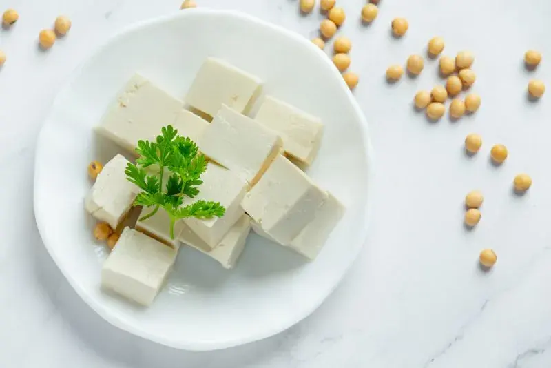 Tofu w diecie psa - czy można karmić i jakie ilości są bezpieczne?