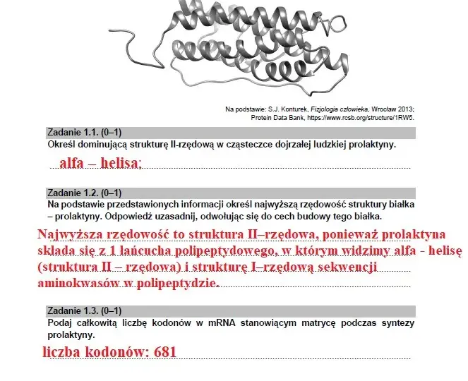 Co po rozszerzonej biologii? Kierunki studiów i zawody, które warto rozważyć
