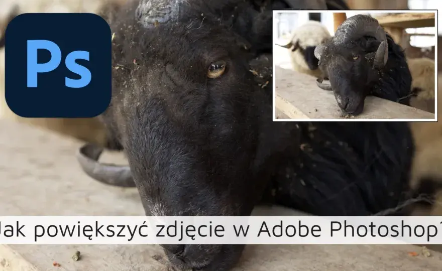 Jak powiększyć obraz w Photoshopie bez utraty jakości i szczegółów