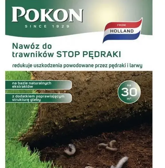 Skuteczne metody na pędraki w trawniku - jak uratować swoją trawę
