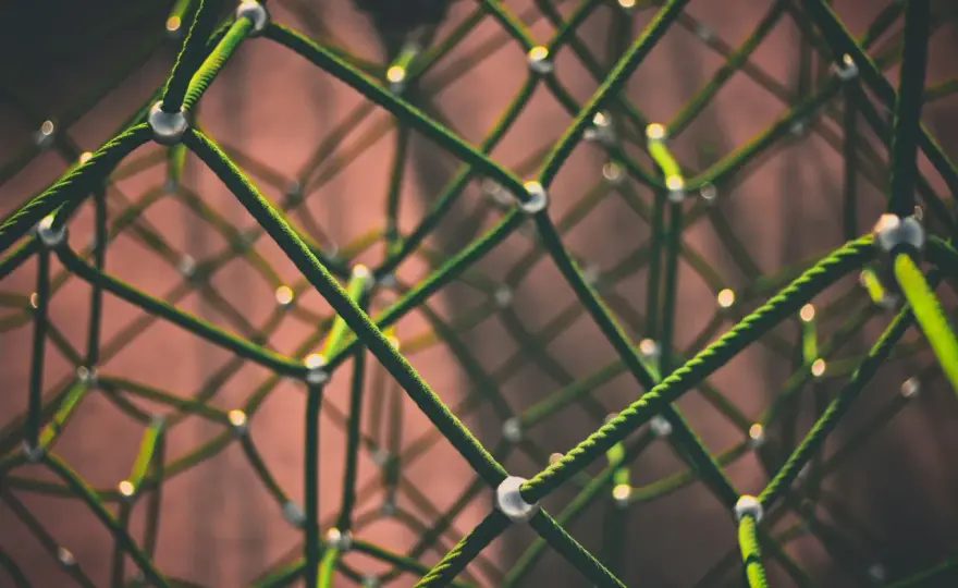 Jak rozwijać startupy blockchainowe: Porady dla przedsiębiorców