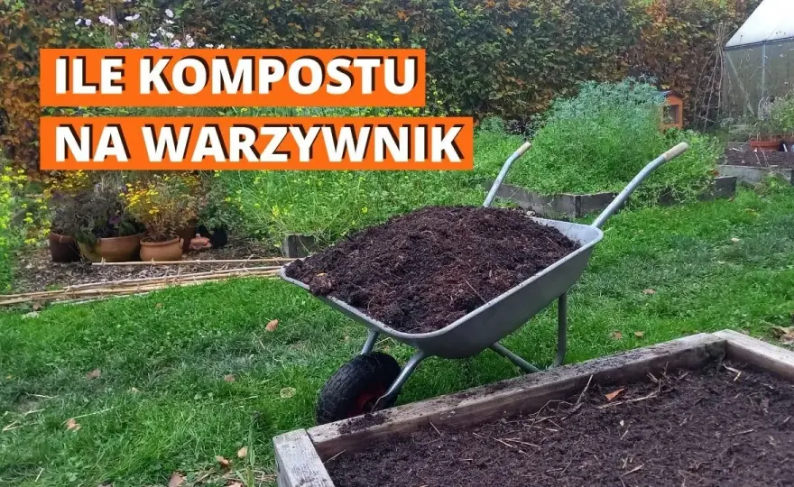 Ile kompostu do ziemi? Sprawdzone proporcje dla bujnego ogrodu