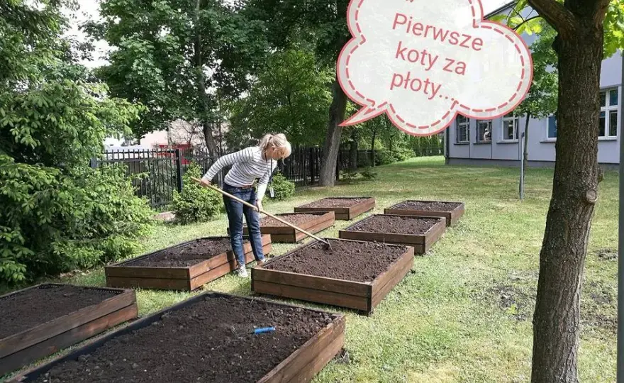 Ile kosztuje tona ziemi pod trawnik? Sprawdź ceny i uniknij przepłacania!