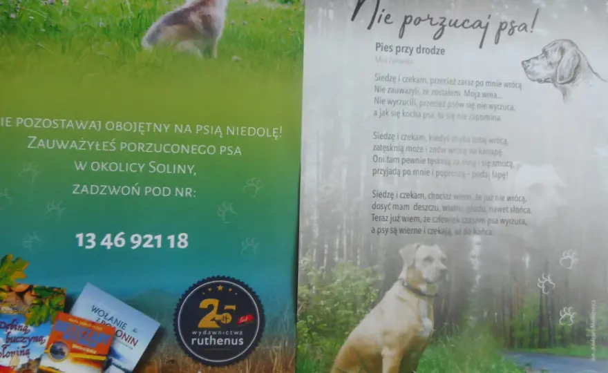 Poznaj prawdziwe powody dlaczego pies jest wierny swojemu właścicielowi