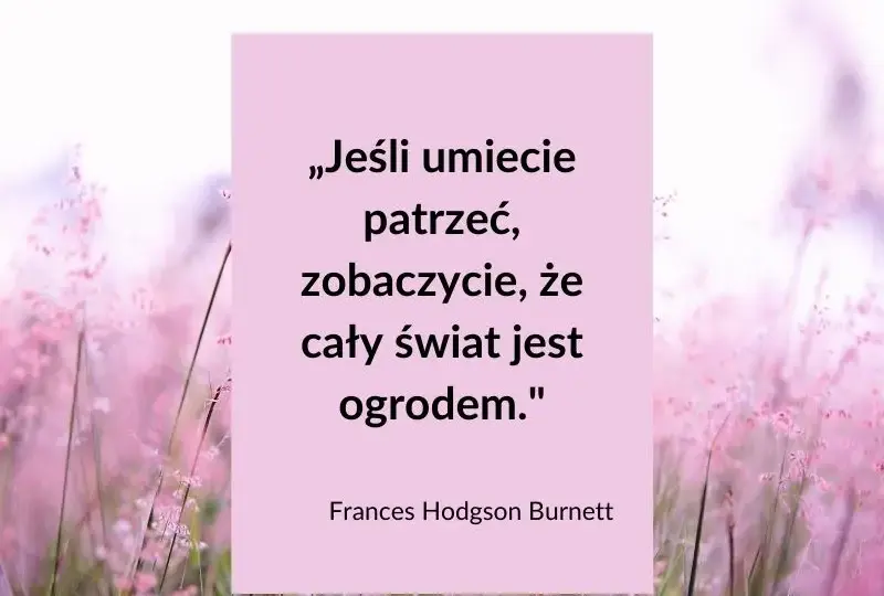 Najpiękniejsze krótkie cytaty o lecie, które inspirują i poruszają serce