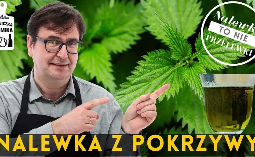 Jak zrobić nalewkę z pokrzywy - prosty przepis na zdrowy napój