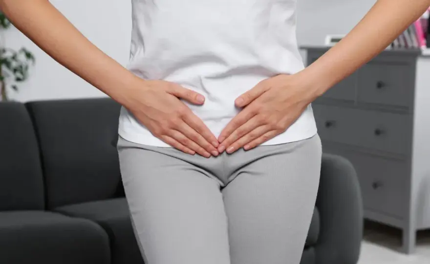 Mięśnie dna miednicy - kluczowe struktury dla zdrowia układu moczowego i pokarmowego