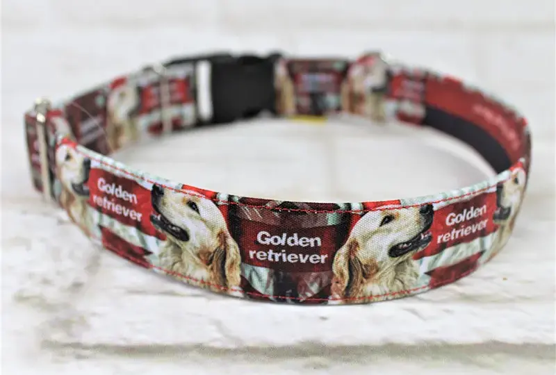 Jak dobrać idealną obrożę dla golden retrievera - kompletny poradnik