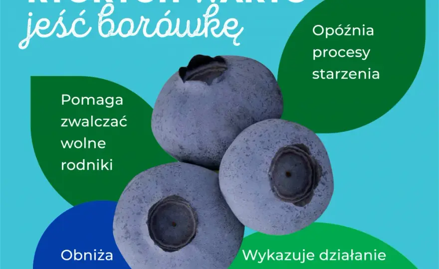 Zdrowotne właściwości borówek - poznaj 7 korzyści dla Twojego organizmu